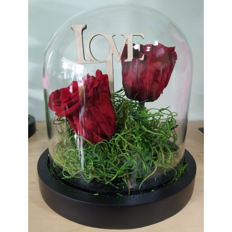 Forever Rose, διπλό κόκκινο, σε γυάλινη καμπάνα 20cm συσκευασία