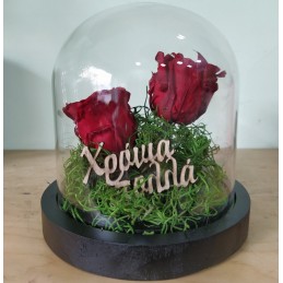 Forever Rose, διπλό κόκκινο, σε γυάλινη καμπάνα 20cm μπροστά