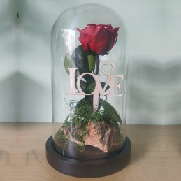 Forever Rose, red, in 25cm glass bell cover