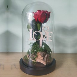 Forever Rose, κόκκινο, σε γυάλινη καμπάνα 25cm συσκευασία