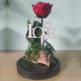 Forever Rose, κόκκινο, σε γυάλινη καμπάνα 25cm μπροστά