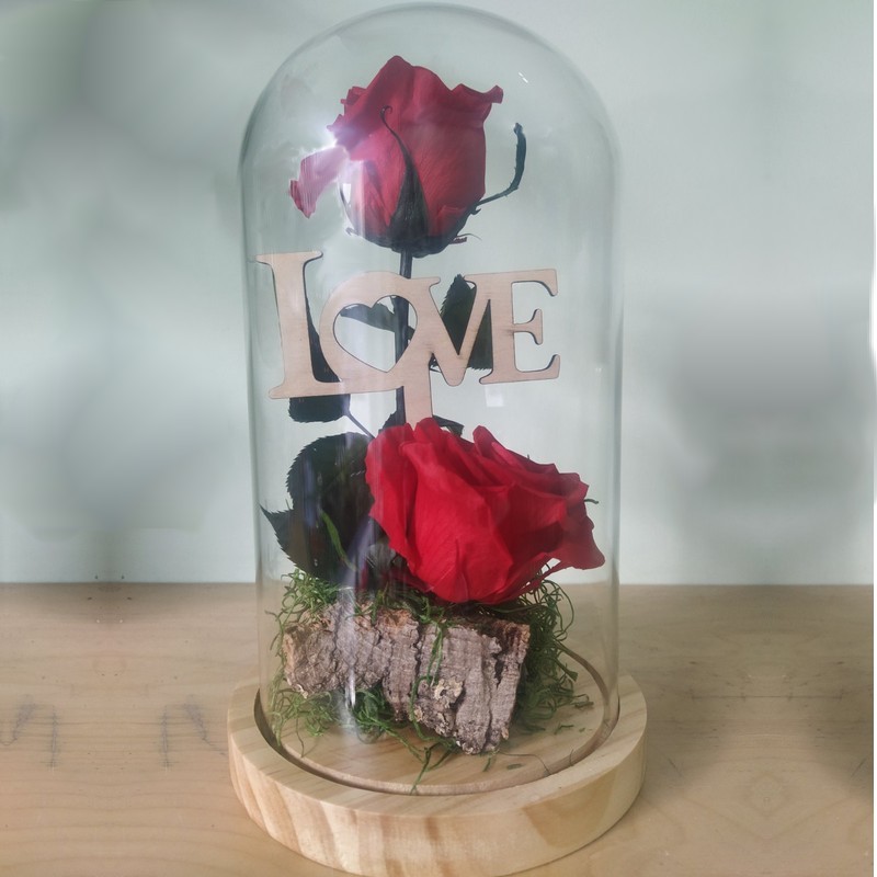 Forever Rose double, red, in glass bell 25cm cover