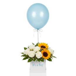 Birth Composition - Boy