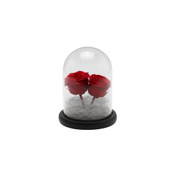 Forever Rose, double red,...