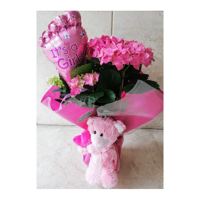 Hydrangea in pink color