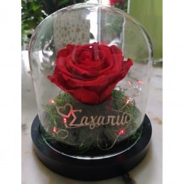 Forever Rose, κόκκινο, με την γυάλινη καμπάνα 17cm
