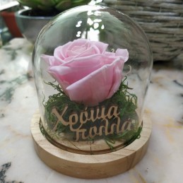 Forever Rose, pink, in a 17cm glass bell