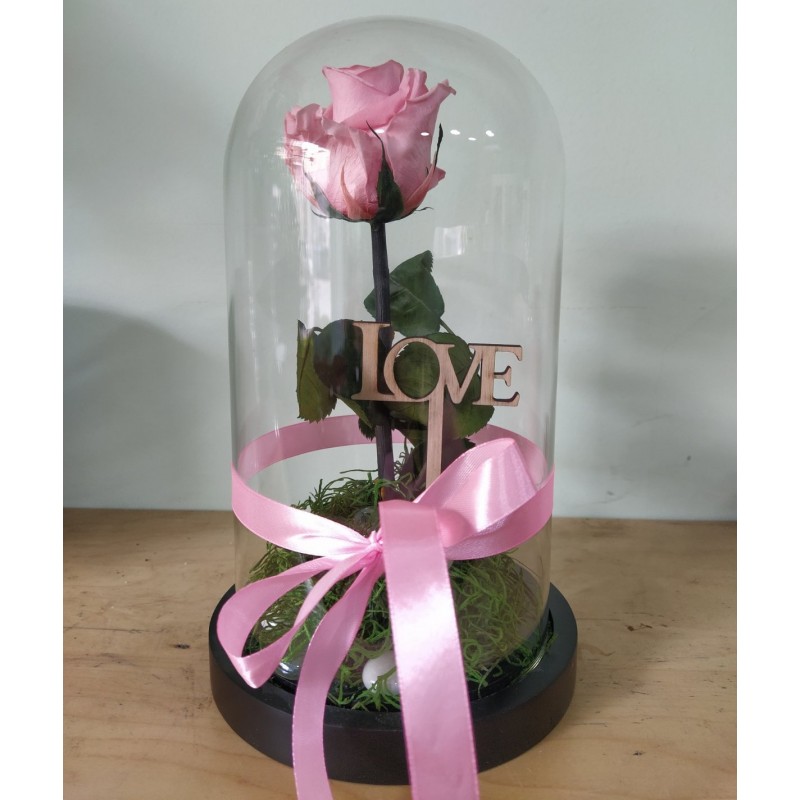 Forever Rose, pink, in a 25cm glass bell